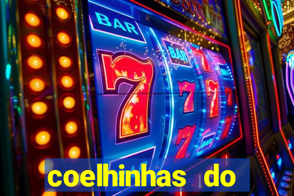 coelhinhas do brasil recife